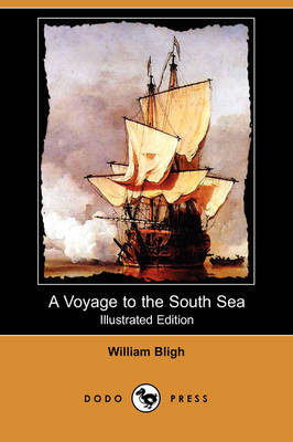 Book cover for A Voyage to the South Sea (Illustrated Edition) (Dodo Press)