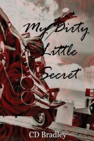 Cover of My Dirty Little Secret
