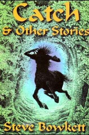Cover of Catch and Other Stories