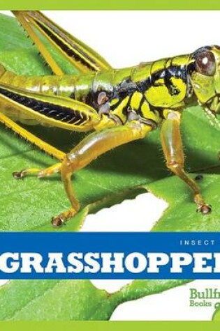 Cover of Grasshoppers