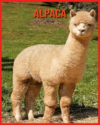 Book cover for Alpaca