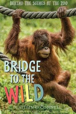 Book cover for Bridge to the Wild