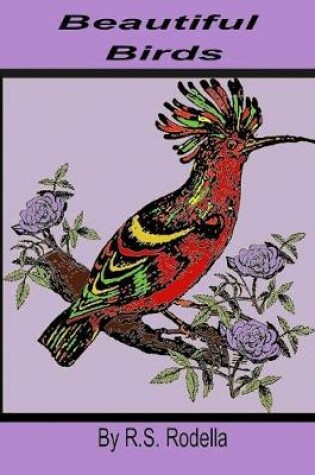 Cover of Beautiful Birds