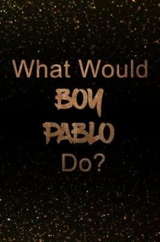 Cover of What Would Boy Pablo Do?