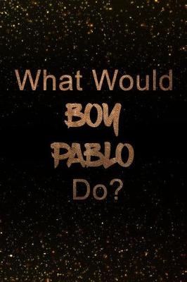 Book cover for What Would Boy Pablo Do?