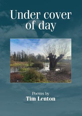 Book cover for Under cover of day