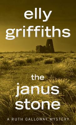 Book cover for The Janus Stone