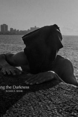 Cover of Piercing the Darkness