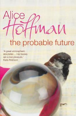 Book cover for The Probable Future