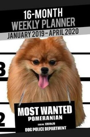 Cover of 2019-2020 Weekly Planner - Most Wanted Beagle Pomeranian