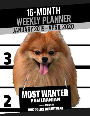 Cover of 2019-2020 Weekly Planner - Most Wanted Beagle Pomeranian