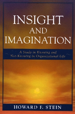 Book cover for Insight and Imagination