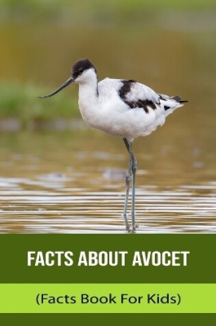 Cover of Facts About Avocet (Facts Book For Kids)