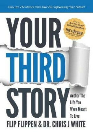 Cover of Your Third Story