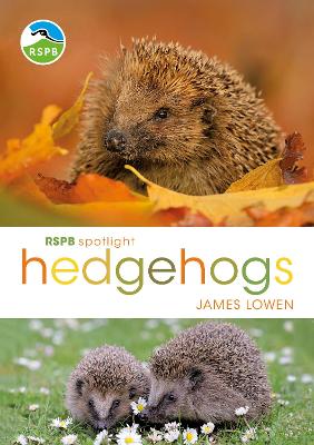 Book cover for RSPB Spotlight Hedgehogs