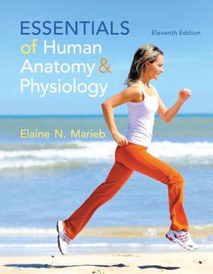 Book cover for Essentials of Human Anatomy & Physiology Plus Masteringa&p with Etext -- Access Card Package