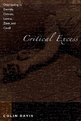 Book cover for Critical Excess