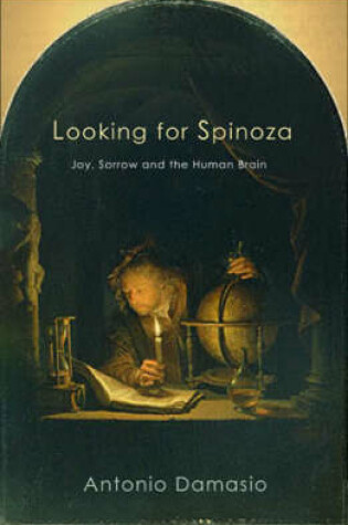 Cover of Looking for Spinoza
