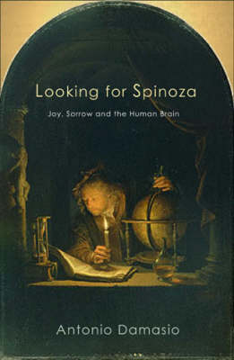 Book cover for Looking for Spinoza