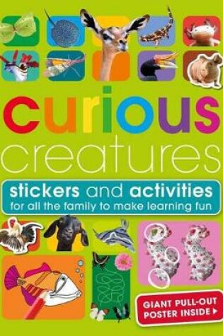 Cover of Curious Creatures
