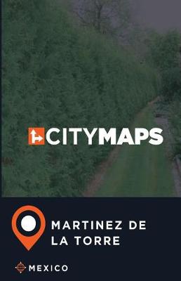 Book cover for City Maps Martinez de la Torre Mexico