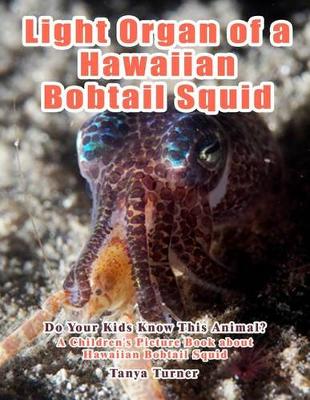 Book cover for Light Organ of a Hawaiian Bobtail Squid
