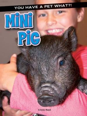 Book cover for Mini Pig