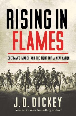 Book cover for Rising in Flames