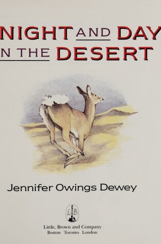 Cover of A Night and Day in the Desert