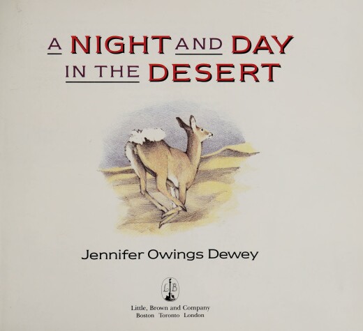 Book cover for A Night and Day in the Desert