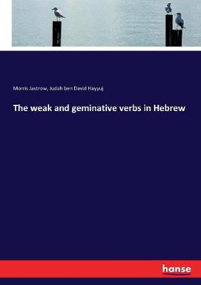 Book cover for The weak and geminative verbs in Hebrew