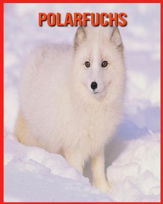 Book cover for Polarfuchs