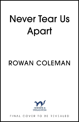 Book cover for Never Tear Us Apart