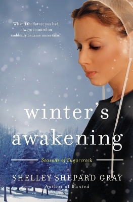 Book cover for Winter's Awakening