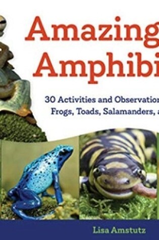 Cover of Amazing Amphibians