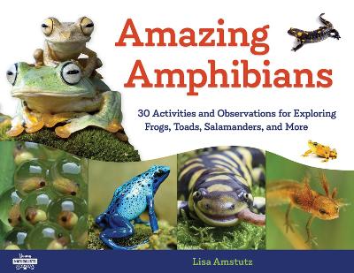 Book cover for Amazing Amphibians