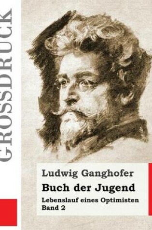 Cover of Buch der Jugend (Grossdruck)