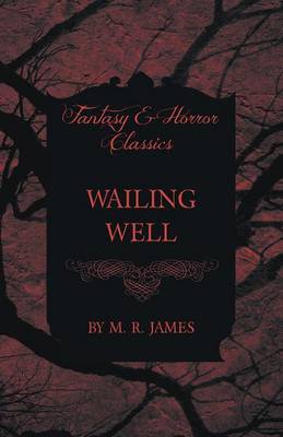Book cover for Wailing Well (Fantasy and Horror Classics)