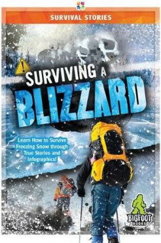 Cover of Surviving a Blizzard
