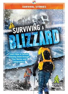 Cover of Surviving a Blizzard