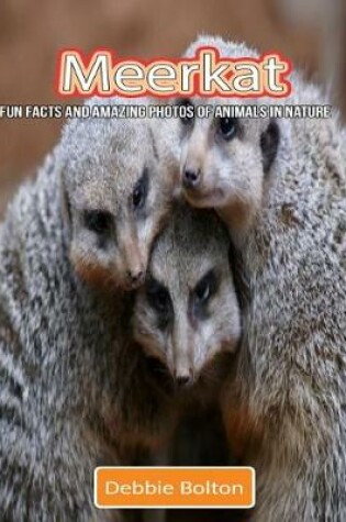 Cover of Meerkat