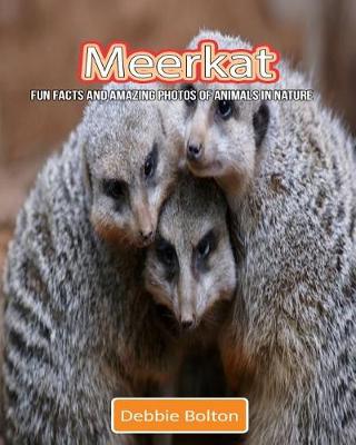 Book cover for Meerkat