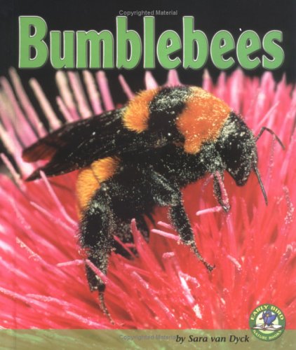 Book cover for Bumblebees