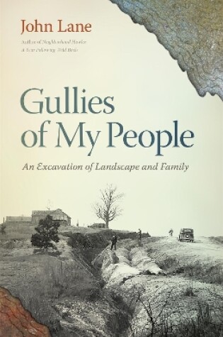 Cover of Gullies of My People