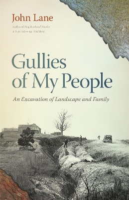 Book cover for Gullies of My People