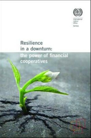 Cover of Resilience in a downturn