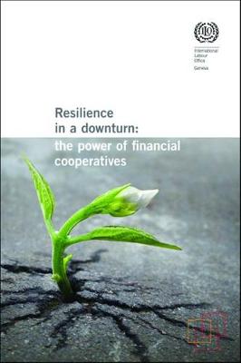 Book cover for Resilience in a downturn