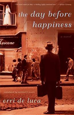 Book cover for Day Before Happiness