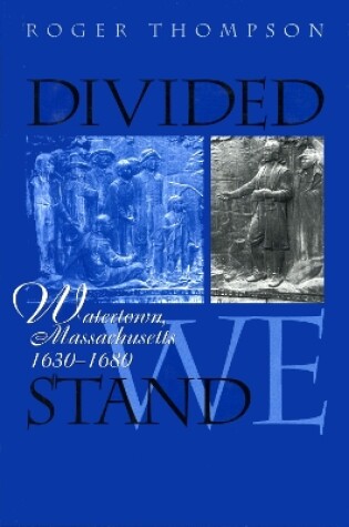 Cover of Divided We Stand