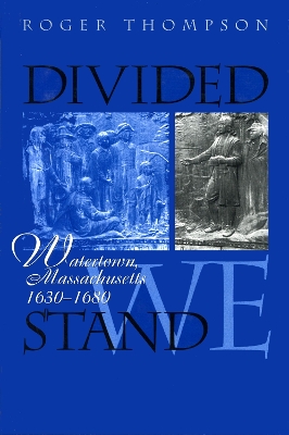 Book cover for Divided We Stand